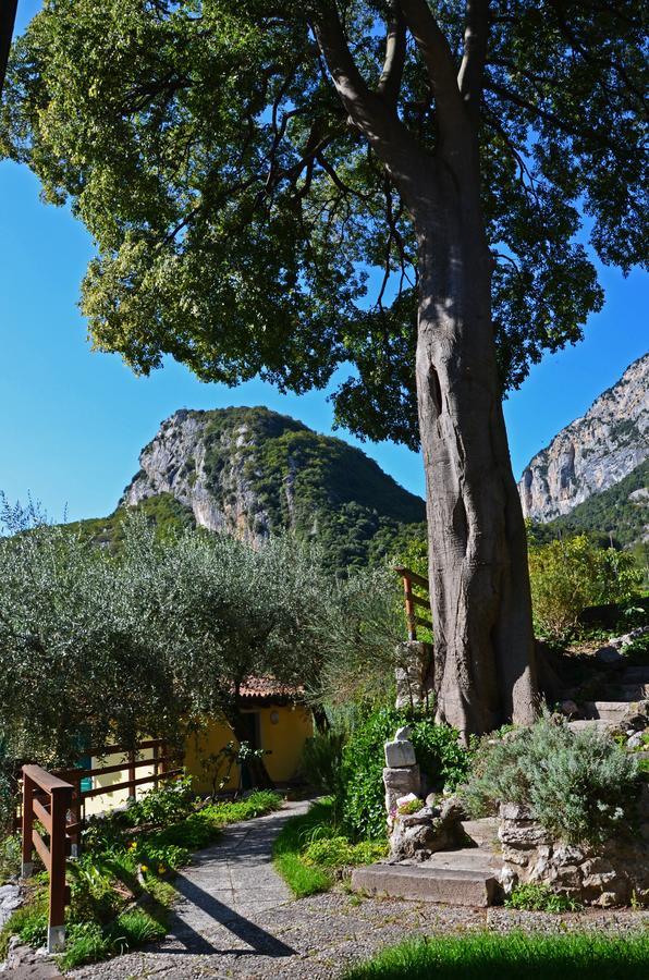 Hotel Garni Delle Rose Ceniga Екстер'єр фото